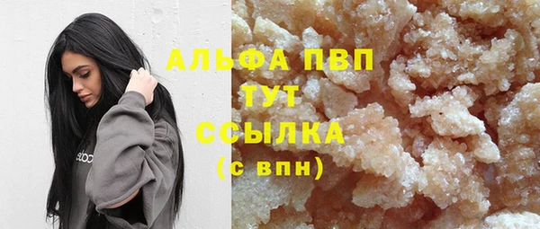 мдпв Гусь-Хрустальный