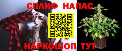 ECSTASY Гагарин