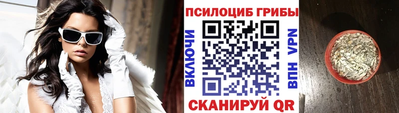 Псилоцибиновые грибы прущие грибы  даркнет состав  Донской 