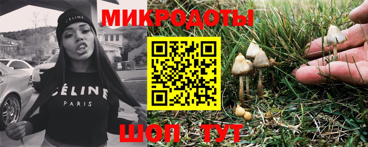 Донской  даркнет сайт  Галлюциногенные грибы Magic Shrooms  Вход с VPN  Псилоцибиновые грибы Psilocybine cubensis 