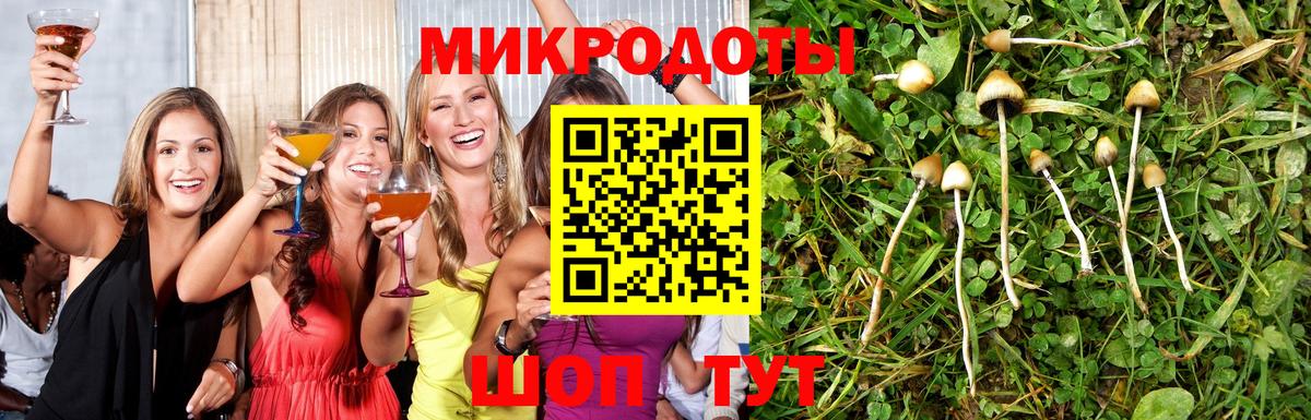 Галлюциногенные грибы мухоморы Донской