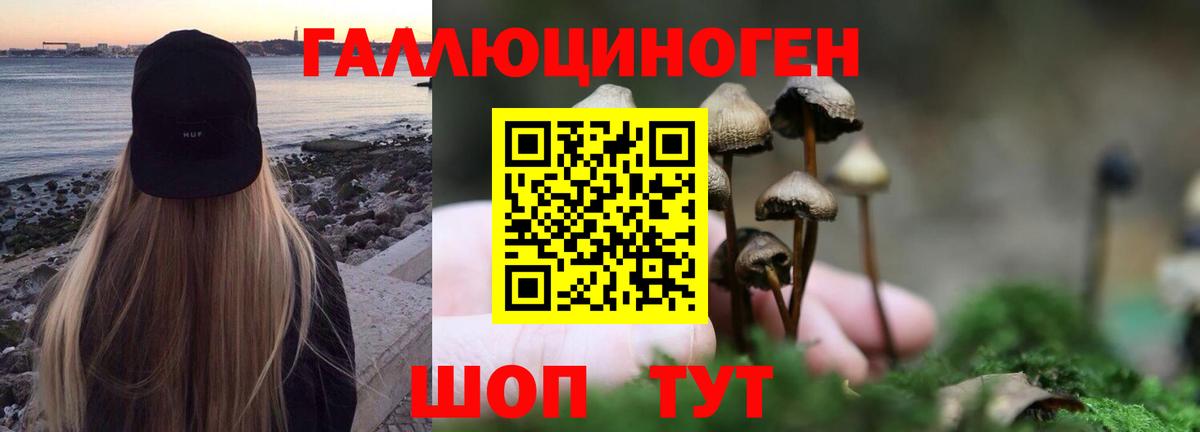 Псилоцибиновые грибы Magic Shrooms Донской